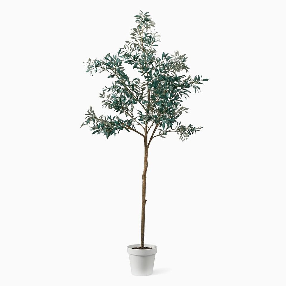 Faux Potted Olive Tree West Elm UK